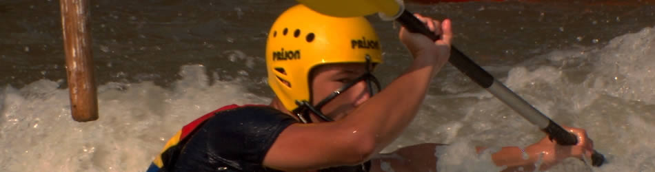 短信轰在线轰炸免费网站